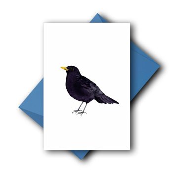 Amsel