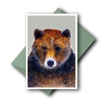Bär_2