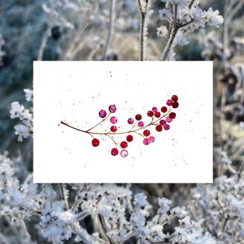 Beerenzweig Violett2