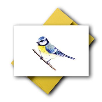 Blaumeise