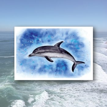 Delfin2