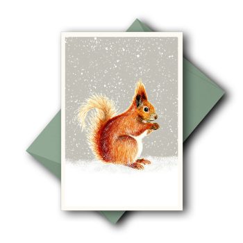 Eichhörnchen