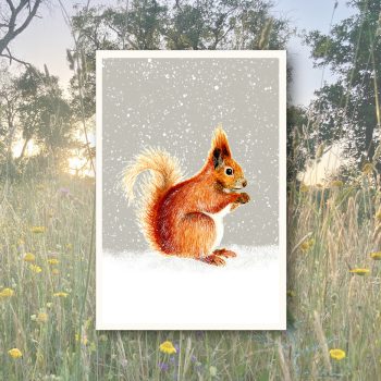 Eichhörnchen2