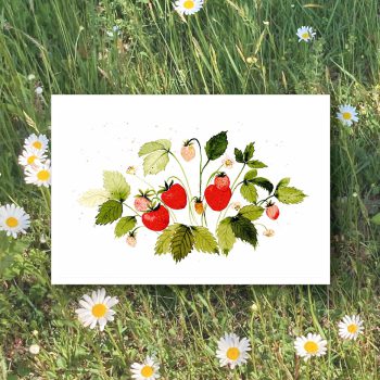 Erdbeeren