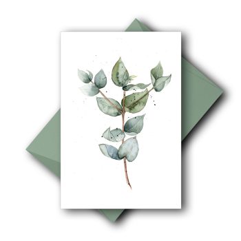 Eukalyptus
