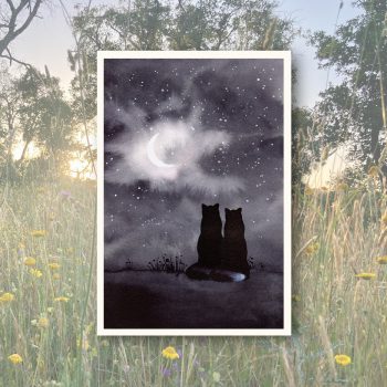 Füchse im Mondlicht2