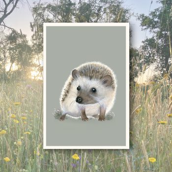 Igel2