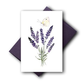 Lavendel