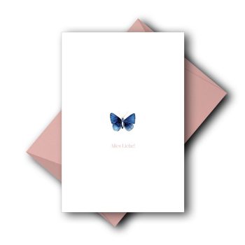 Schmetterling